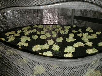 Growreport Bild 47