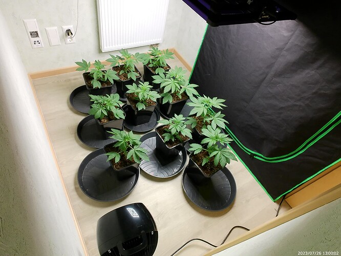 Growreport Bild 6