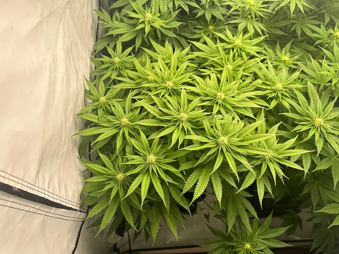 Growreport Bild 12