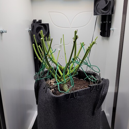 Growreport Bild 5