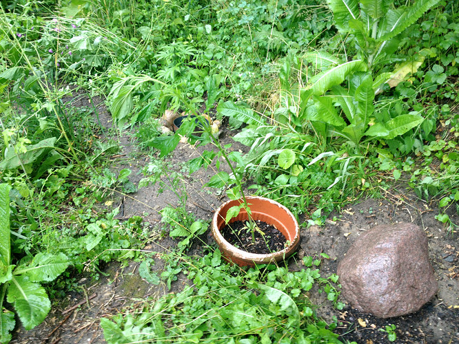 Growreport Bild 10