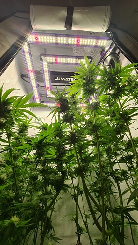 Growreport Bild 1