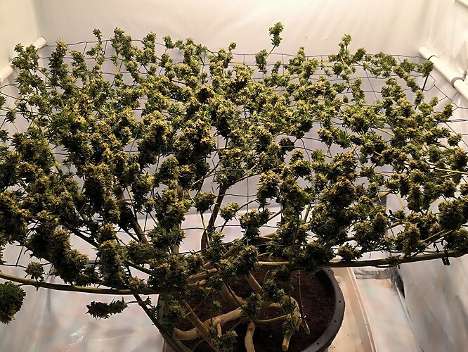 Growreport Bild 16