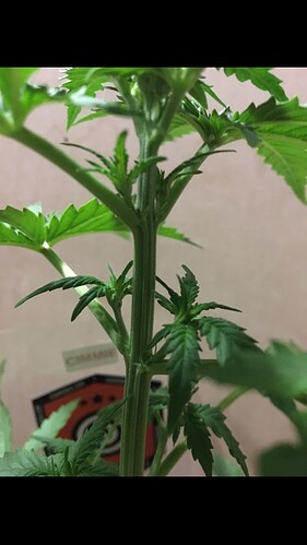 Growreport Bild 10