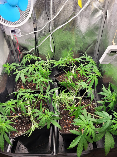 Growreport Bild 16