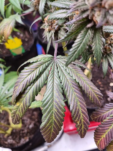 Growreport Bild 22