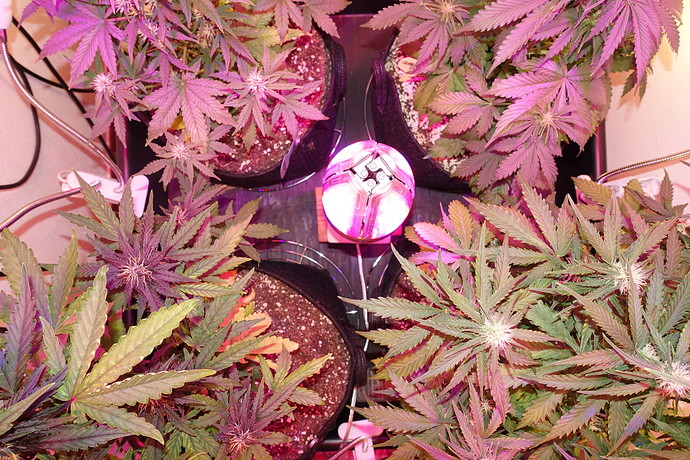 Growreport Bild 10