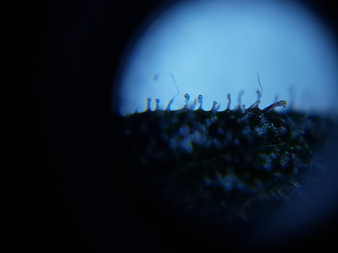 Growreport Bild 12