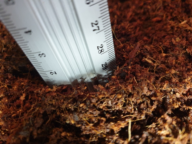 Growreport Bild 1