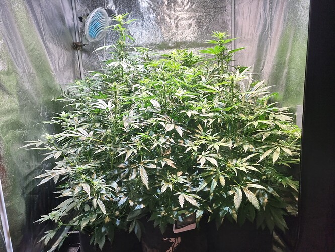 Growreport Bild 24