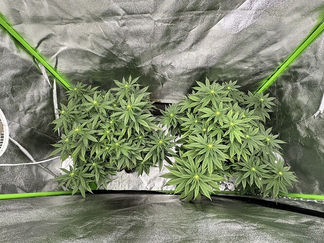 Growreport Bild 5