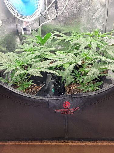 Growreport Bild 11