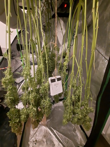 Growreport Bild 6