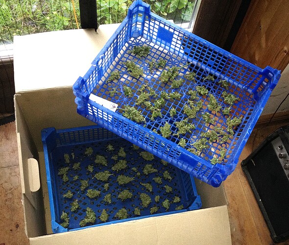 082_01_AFBB_GCA_trocknung