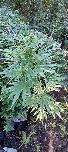 Growreport Bild 12