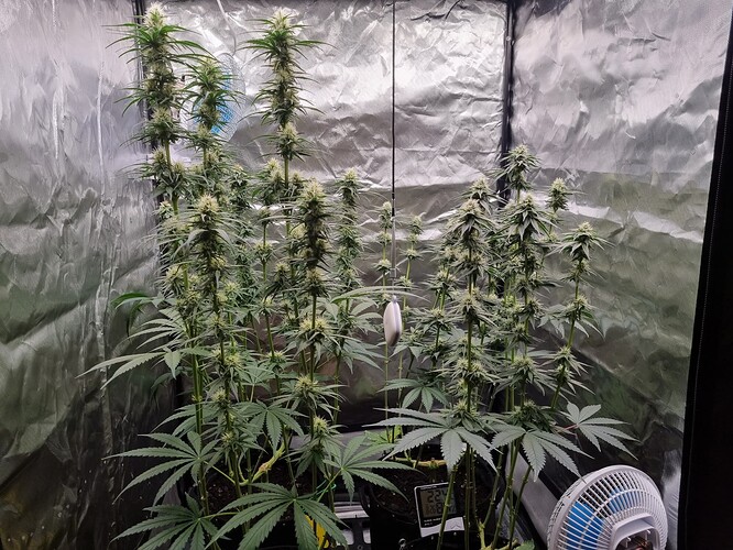 Growreport Bild 2