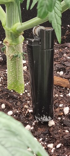 Growreport Bild 3