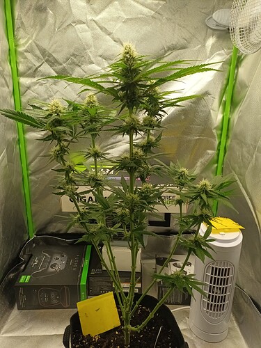 Growreport Bild 13