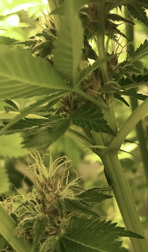 Growreport Bild 2