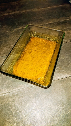 obscura1607881131188