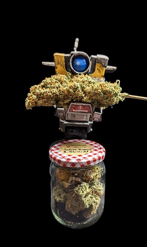 Growreport Bild 2