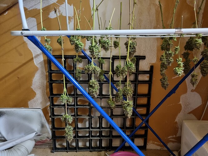Growreport Bild 13