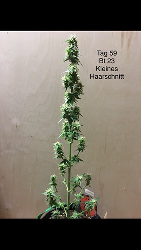 Growreport Bild 12
