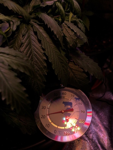 Growreport Bild 8