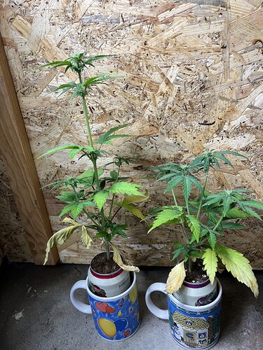 Growreport Bild 14