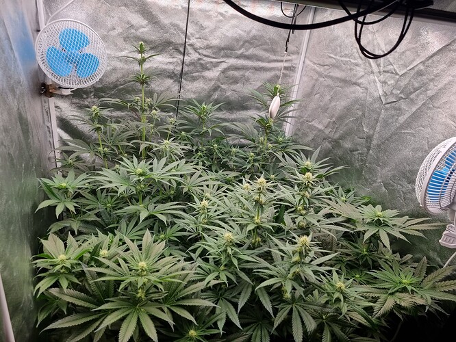 Growreport Bild 16