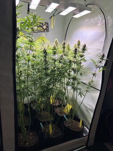 Growreport Bild 3