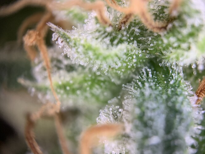 Growreport Bild 21