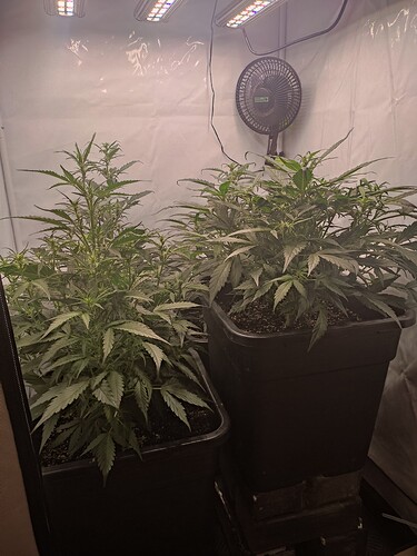 Growreport Bild 17