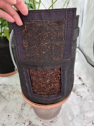 Growreport Bild 91