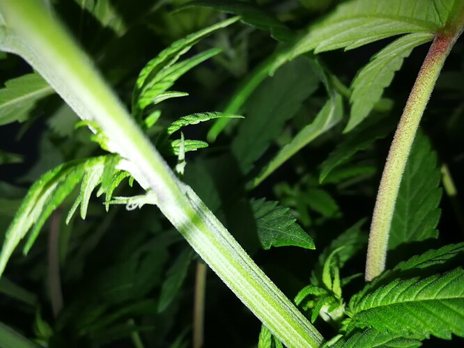 Growreport Bild 7