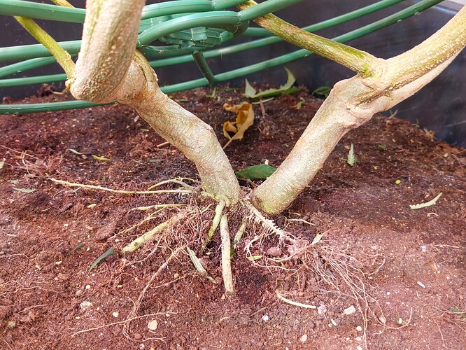 Growreport Bild 11