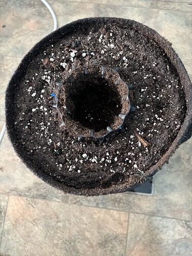 Growreport Bild 117