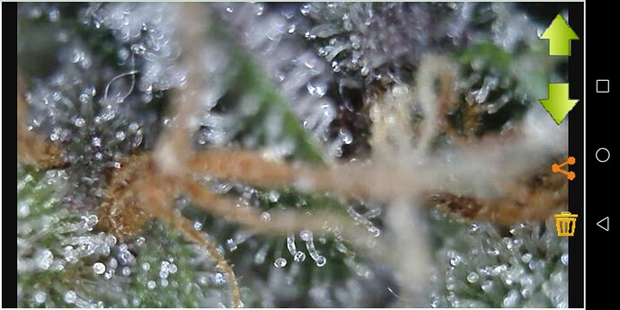 Screenshot_20230608-203758