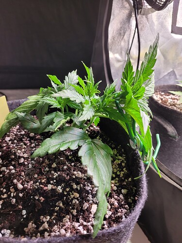 Growreport Bild 10