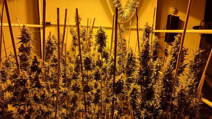 Growreport Bild 15