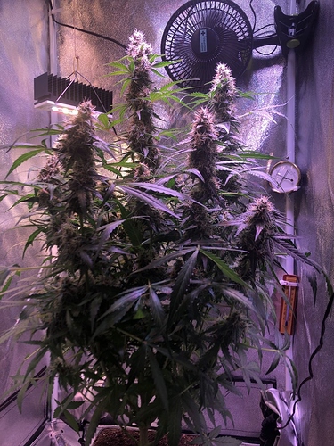 Growreport Bild 21