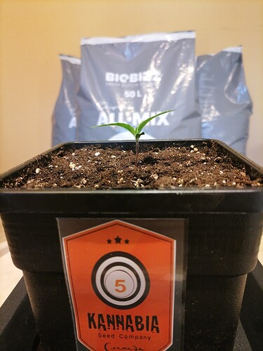 Growreport Bild 16