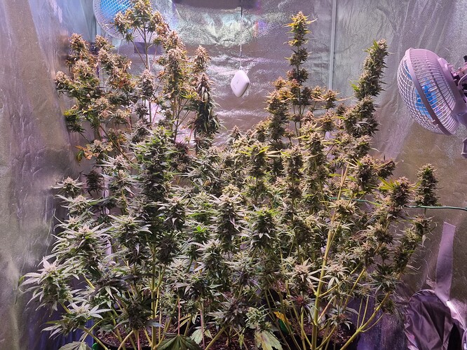 Growreport Bild 21