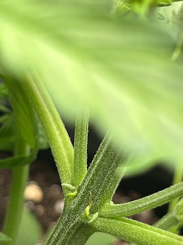 Growreport Bild 12