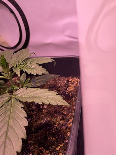 Growreport Bild 12