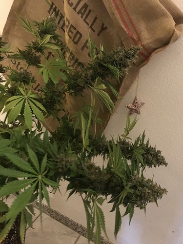 Growreport Bild 3