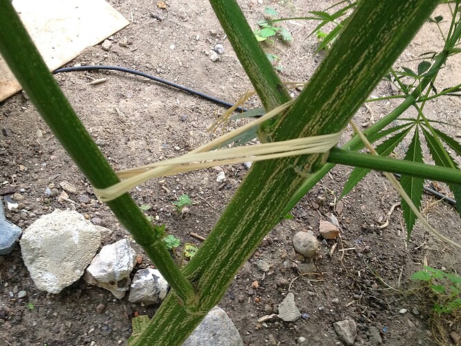 Growreport Bild 10