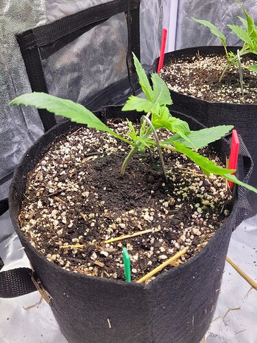 Growreport Bild 10