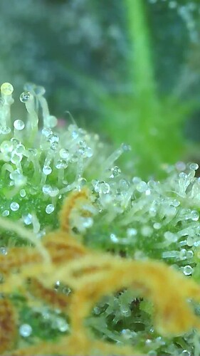 Growreport Bild 10