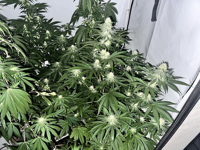 Growreport Bild 7